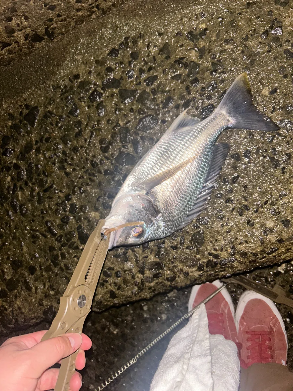 9月もありがとうございました。